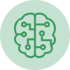 brain