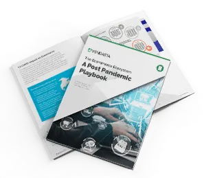 SMB-Guide-Cover-4.png Ecommerce-Ecosystem_Post-Pandemi