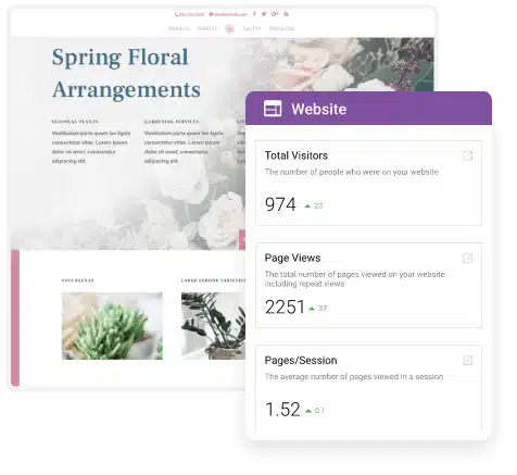 website pro star website pro