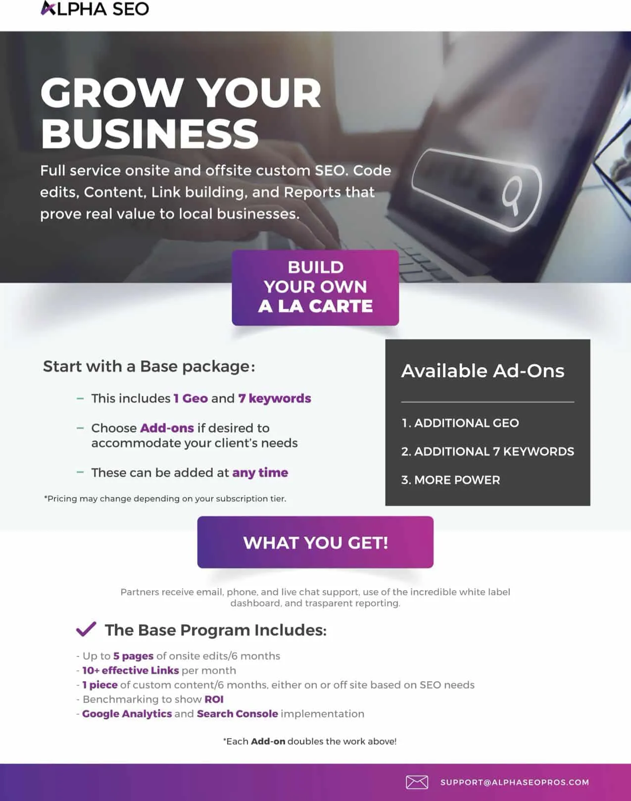 Flyer-Alpha SEO Marketing JPEG grow your business